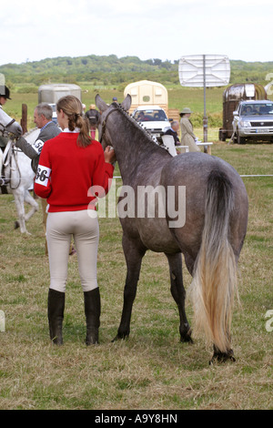 horsewoman and pony viewed from behind  jodhpurs and boots we see the rear of animal and rider Stock Photo
