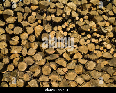 pile of cut wood Stock Photo