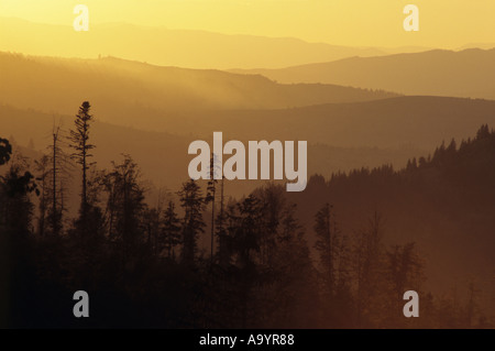 Setting Sun casts a yellow hue across the many valleys of the Rodna mountains Maramures Romania Stock Photo