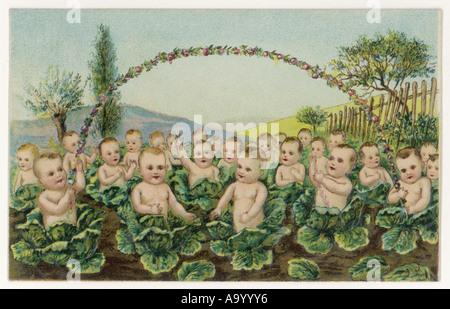 Babies In Cabbage Patch Stock Photo
