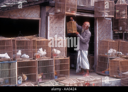 Bird seller examining bird cage in public market Yogyakarta Java Indonesia  Southeast Asia Model released image Stock Photo - Alamy