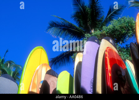 Upward view of surfboards and palm trees in Waikiki Beach Oahu Hawaii USA