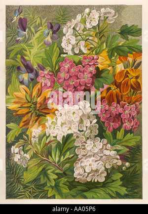 Flowers May June 1863 Stock Photo