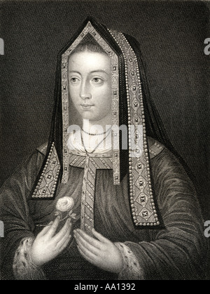 Elizabeth henry online tudor