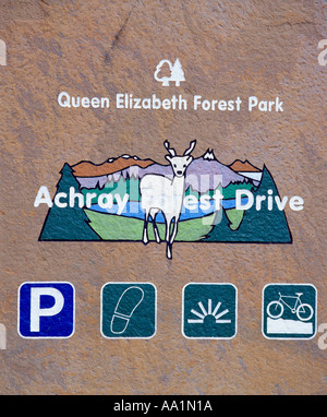 Achray Forest Drive near Aberfoyle, Trossachs, Stirling, Scotland, UK Stock Photo
