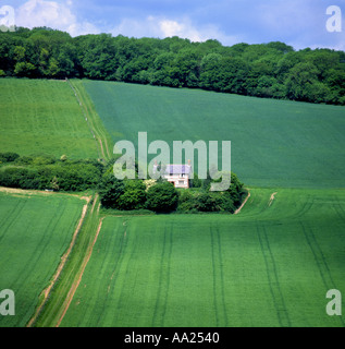 Four fields in a series showing cereal crops surrounding a small cottage with woodland on the horizon Stock Photo