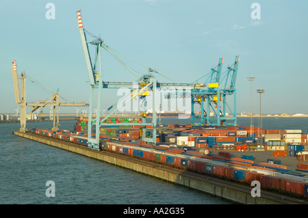 Zeebrugge, Belgium. Containers and cranes on the docks Stock Photo