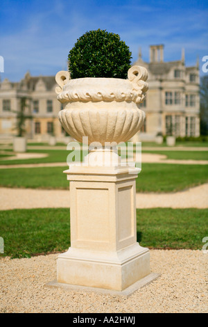 Kirby Hall Northamptonshire View Of The Restored Gardens Limestone Urn and Box Topiary in the Parterre Garden Stock Photo