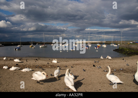 Bray Harbour, Co. Wicklow, Ireland Stock Photo