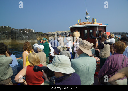 People on a boat trip Staple Island Farne Islands Northumberland England Stock Photo