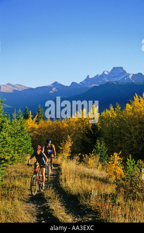 Mountain bikers riding through fall colours in the Canadian Rockies Stock Photo