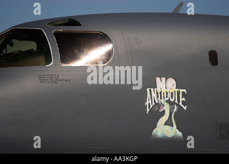 A painting on a B-1 bombers side ('No Antidote'). Stock Photo
