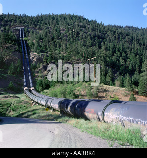 Gas pipeline going north into the distance  in a Canadian conifer forest landscape near Lillooet in British Columbia Canada  KATHY DEWITT Stock Photo