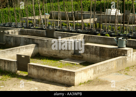 Sludge drying beds in a wastewater treatment works Stock Photo