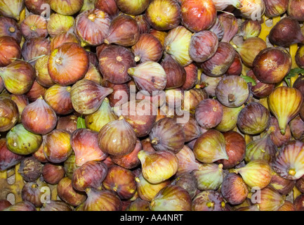 Fresh figs for sale in basket Tunisia Stock Photo