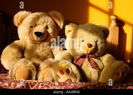 Two teddy bears on a bed with sunlight shining through a window. Stock Photo