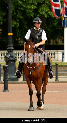 Mounted Police officer on horseback London England UK Stock Photo