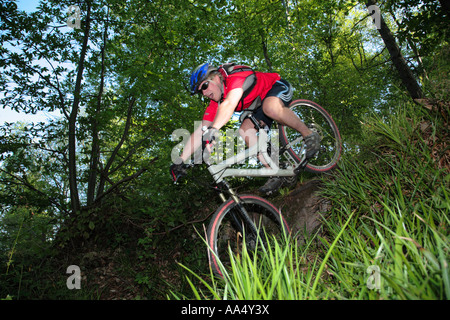 Mountain Biking in woodland in spring Stock Photo