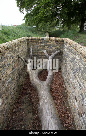 Hanging Trees by Andy Goldsworthy Oxley Bank Yorkshire Sculpture Park Bretton South Yorkshire UK Stock Photo