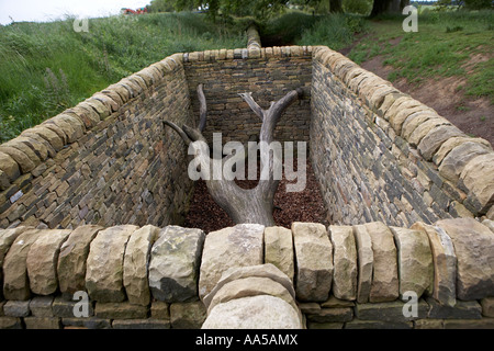 Hanging Trees by Andy Goldsworthy Oxley Bank Yorkshire Sculpture Park Bretton South Yorkshire UK Stock Photo