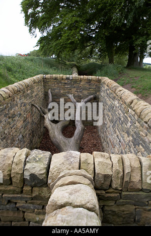 Hanging Trees by Andy Goldsworthy Oxley Bank Yorkshire Sculpture Park Bretton South Yorkshire UK Stock Photo