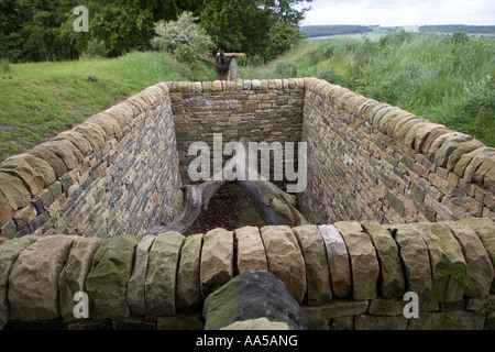 Hanging Trees by Andy Goldsworthy Oxley Bank Yorkshire Sculpture Park Bretton South Yorkshire UK Stock Photo