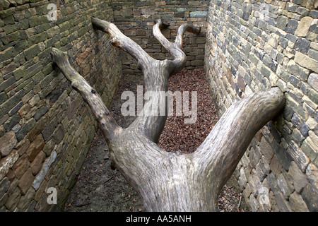 Hanging Trees by Andy Goldsworthy Oxley Tree Yorkshire Sculpture Park Bretton South Yorkshire UK Stock Photo