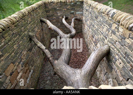 Hanging Trees by Andy Goldsworthy Oxley Bank Yorkshire Sculpture Park Bretton South Yorkshire UK Stock Photo