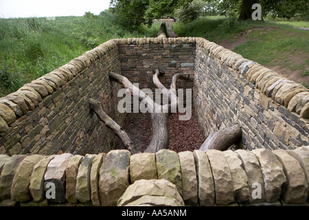 Hanging Trees by Andy Goldsworthy Oxley Bank Yorkshire Sculpture Park Bretton South Yorkshire UK Stock Photo