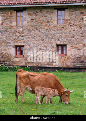 landscape of a house in Atxondo valley in the basque countryside ...