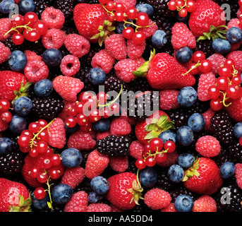 Background of strawberries blueberries raspberries blackberries and currants Stock Photo
