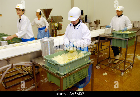 Women working on Potato Gratin production line at company making chilled ready meals for sale in supermarkets in UK Stock Photo