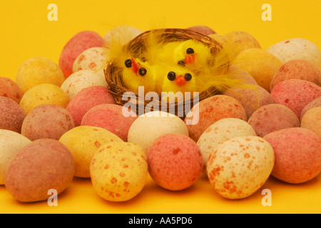 Easter image, yellow chicks in wicker basket surrounded by colourful sugar coated traditional chocolate eggs yellow background Stock Photo