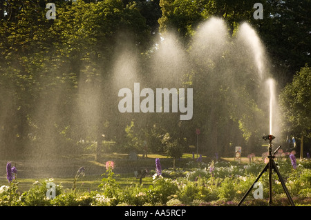 irrigation of a flowerbed, by automatic spray in baden baden , west germany Stock Photo