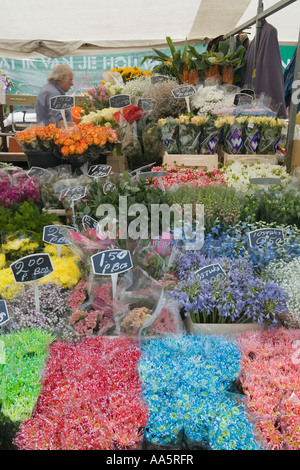 Amsterdam, Netherlands. Flowers for sale at Albert Cuypmarkt Stock Photo