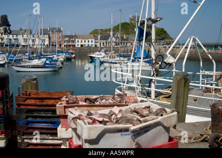 The port side of Ilfracombe showing the catch of the day and the landscape beyond. Stock Photo