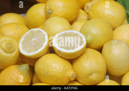 Lemon fruit, Citrus Limon Stock Photo