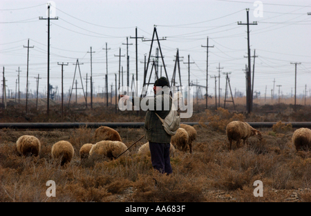 An sheep herder leads his flock through an oil field near the Caspian Sea outside Baku Azerbaijan in January 2003 Today life in Stock Photo