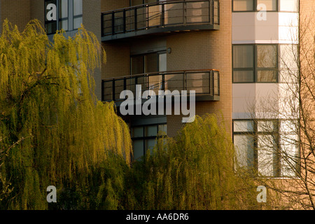 New apartments beside River Aire central Leeds Balconies with early morning sun and shadows Stock Photo