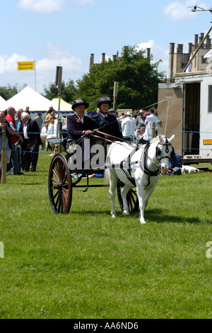 Pony and trap being driven in competition area Stock Photo