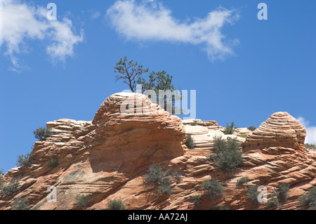 Zion Canyon from Highway 9. Stock Photo