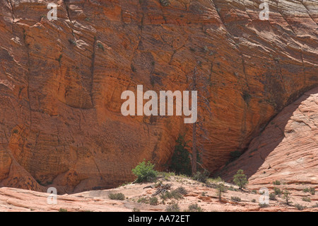 Zion Canyon from Highway 9. Stock Photo