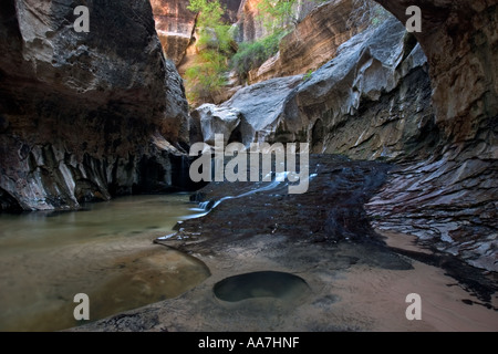 Subway in Zion national park Stock Photo