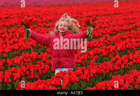 Adelaide Esdale 8yrs old picking tulips at Weston Hills Lincolnshire 2003 Photo by John Robertson Stock Photo
