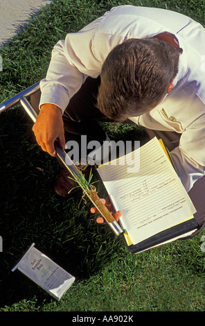 A man take a soil sample out of a residential lawn to test for toxins or other elements that could be harmful Stock Photo