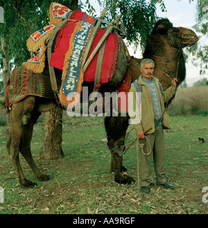 Farmer with his camel during a camel wrestling contest in the Turkish town of Selcuk Stock Photo