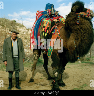 Farmer with his camel during a camel wrestling contest in the Turkish town of Selcuk Stock Photo