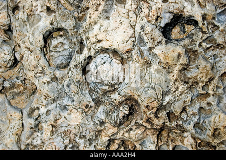 River rock patterns carved by water in lava or granite rock Stock Photo