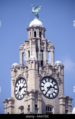 Famous historical Liver Building close up of two  clock faces and a Liver bird which overlooks River Mersey in City Liverpool on Merseyside England UK Stock Photo