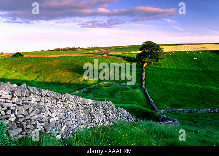 Fields near Litton,Peak District,UK. Stock Photo